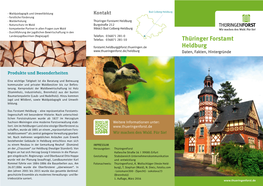 Thüringer Forstamt Heldburg