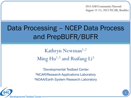 Data Processing – NCEP Data Process and Prepbufr/BUFR