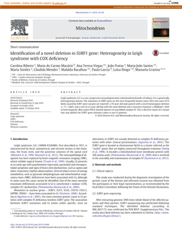 Identification of a Novel Deletion in SURF1 Gene