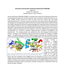 Structure and Function of Human Cytochrome P450 8B1 Jinghan Liu Advisor: Dr