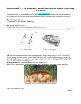 Dichotomous Key to the Stream and Common Terrestrial and Aquatic Salamanders of Maryland