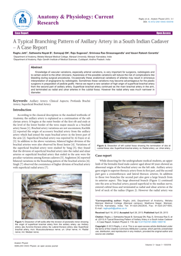 A Typical Branching Pattern of Axillary Artery in a South Indian Cadaver