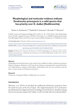 Morphological and Molecular Evidence Indicate Dendronotus Primorjensis Is a Valid Species That Has Priority Over D