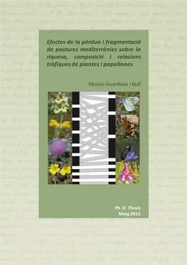 Efectes De La Pèrdua I Fragmentació De Pastures Mediterrànies Sobre La Riquesa, Composició I Relacions Tròfiques De Plantes I Papallones
