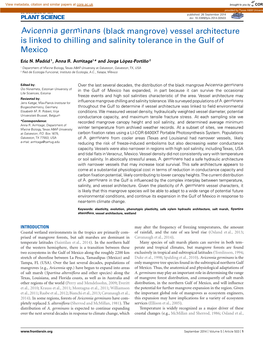 Avicennia Germinans (Black Mangrove) Vessel Architecture Is Linked to Chilling and Salinity Tolerance in the Gulf of Mexico