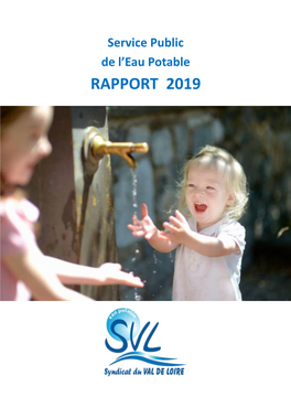 Rapport D'activités SVL 2019 En