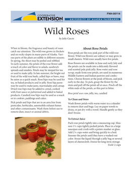 Wild Roses by Julie Cascio