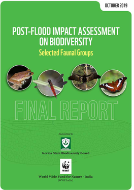 Flood Report WWF.Pdf