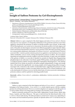 Insight of Saffron Proteome by Gel-Electrophoresis