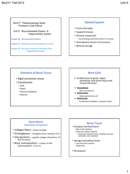 Musculoskeletal System