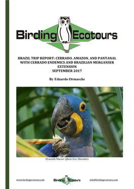 Brazil Trip Report: Cerrado, Amazon, and Pantanal with Cerrado Endemics and Brazilian Merganser Extension September 2017