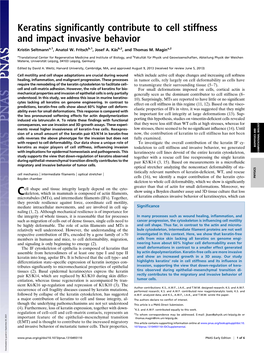 Keratins Significantly Contribute to Cell Stiffness and Impact Invasive Behavior