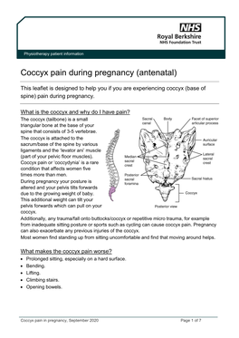 Coccyx Pain During Pregnancy (Antenatal)