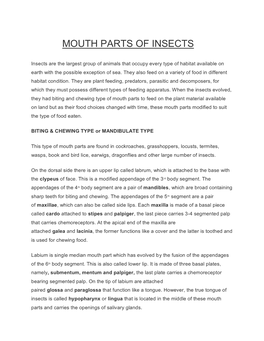 Mouth Parts of Insects.Pdf
