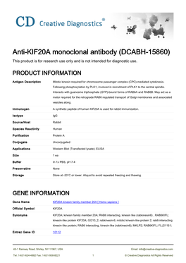 Anti-KIF20A Monoclonal Antibody (DCABH-15860) This Product Is for Research Use Only and Is Not Intended for Diagnostic Use
