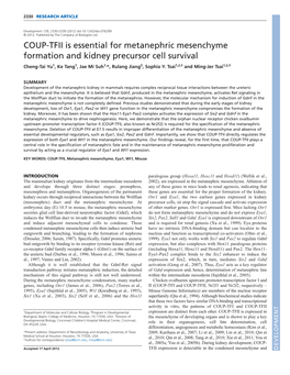 COUP-TFII Is Essential for Metanephric Mesenchyme Formation and Kidney Precursor Cell Survival Cheng-Tai Yu1, Ke Tang1, Jae Mi Suh1,*, Rulang Jiang3, Sophia Y