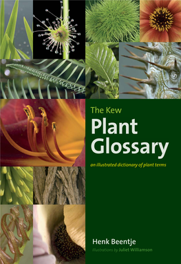 2010 Kew+Plant+Glossary.Pdf