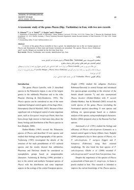 A Taxonomic Study of the Genus Phasia (Dip.: Tachinidae) in Iran, with Two New Records