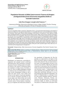 Population Dynamic of Hilda Cameroonensis Tamesse & Dongmo