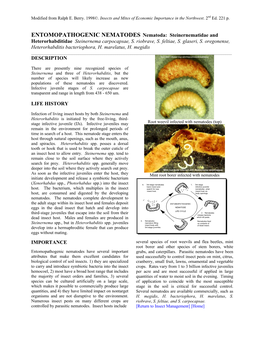 ENTOMOPATHOGENIC NEMATODES Nematoda: Steinernematidae and Heterorhabditidae Steinernema Carpocapsae, S. Riobrave, S. Feltiae, S