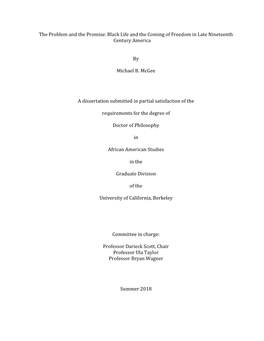 The Problem and the Promise: Black Life and the Coming of Freedom in Late Nineteenth Century America
