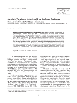 Sabellids (Polychaeta: Sabellidae) from the Grand Caribbean María Ana Tovar-Hernández* and Sergio I