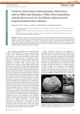 Cnidaria, Scleractinia, Siderastreidae, Siderastrea Siderea (Ellis and Solander, 1786): Hartt Expedition Istributio D Tropical Southwestern Atlantic Raphic G