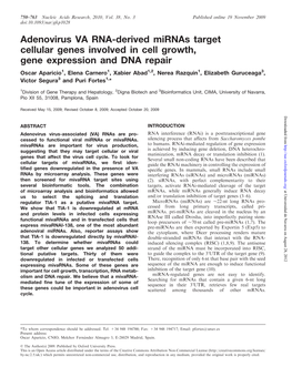 Adenovirus VA RNA-Derived Mirnas Target Cellular Genes