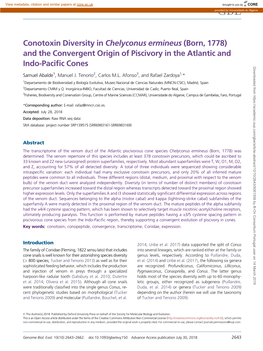 Conotoxin Diversity in Chelyconus Ermineus (Born, 1778) and the Convergent Origin of Piscivory in the Atlantic And