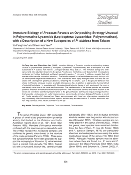 Immature Biology of Prosotas Reveals an Ovipositing Strategy Unusual In