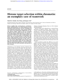 Histone Target Selection Within Chromatin: an Exemplary Case of Teamwork
