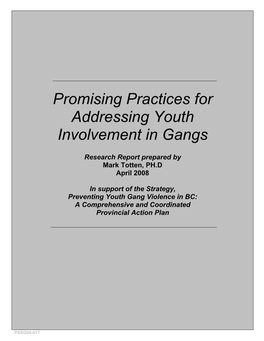 Promising Practices for Addressing Youth Involvement in Gangs