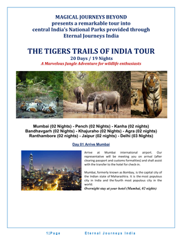 Review Magical Journeys Beyond's Tiger Trails