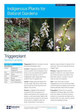 Triggerplant Indigenous Plants for Ballarat Gardens
