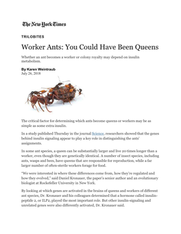 Worker Ants: You Could Have Been Queens