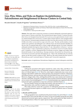 Lice, Flies, Mites, and Ticks on Raptors (Accipitriformes, Falconiformes and Strigiformes) in Rescue Centers in Central Italy