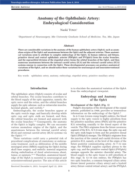 Anatomy of the Ophthalmic Artery: Embryological Consideration