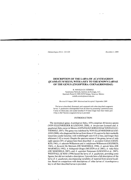 Description of the Larva of Acanthagrion Quadratum Selys, with a Key to the Known Larvae of the Genus (Zygoptera: Coenagrionidae)