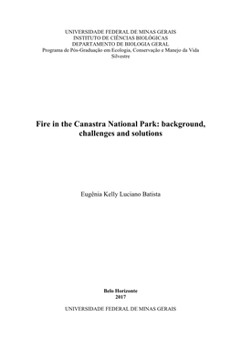 Fire in the Canastra National Park: Background, Challenges and Solutions