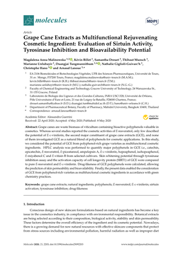 Evaluation of Sirtuin Activity, Tyrosinase Inhibition and Bioavailability Potential