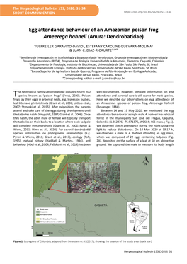 Egg Attendance Behaviour of an Amazonian Poison Frog Ameerega Hahneli (Anura: Dendrobatidae)