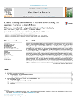 Bacteria and Fungi Can Contribute to Nutrients Bioavailability And