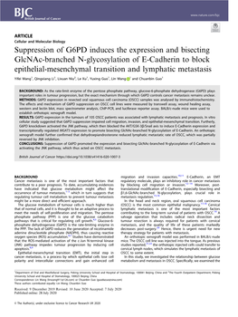 Suppression of G6PD Induces the Expression and Bisecting Glcnac