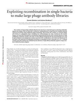 Exploiting Recombination in Single Bacteria to Make Large Phage Antibody Libraries