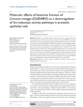 As a Downregulator of 5Α-Reductase Activity Pathways in Prostatic Epithelial Cells