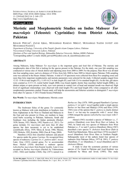 Meristic and Morphometric Studies on Indus Mahseer Tor Macrolepis (Teleostei: Cyprinidae) from District Attock, Pakistan