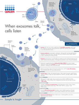 When Exosomes Talk, Cells Listen