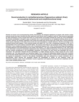 Sound Production in Red-Bellied Piranhas (Pygocentrus Nattereri, Kner): an Acoustical, Behavioural and Morphofunctional Study