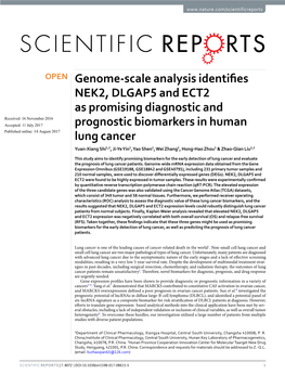 Genome-Scale Analysis Identifies NEK2, DLGAP5 and ECT2 As