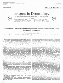 Biochemical Composition of the Epidermal-Dermal Junction and Other Basement Membrane